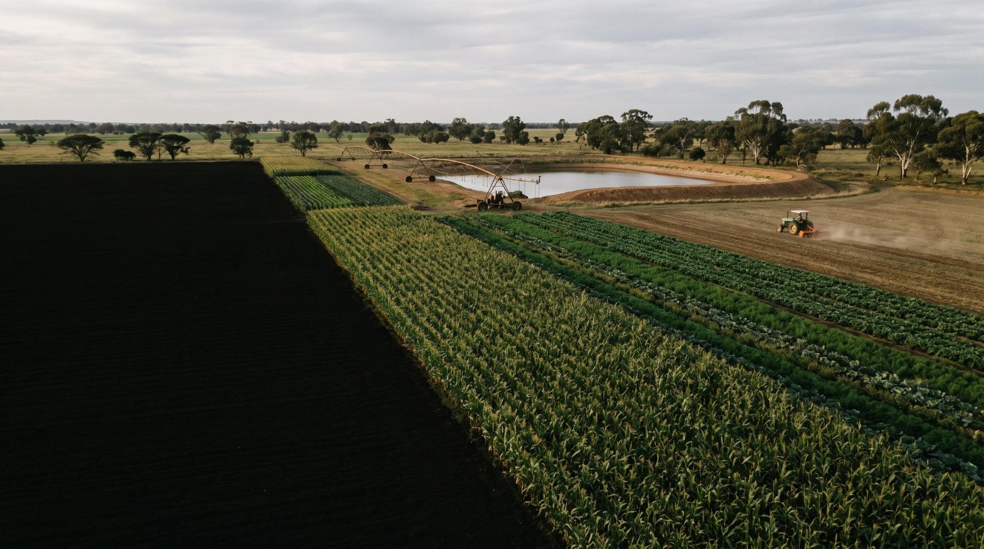 Aerial view of a South African commercial farm at sunrise